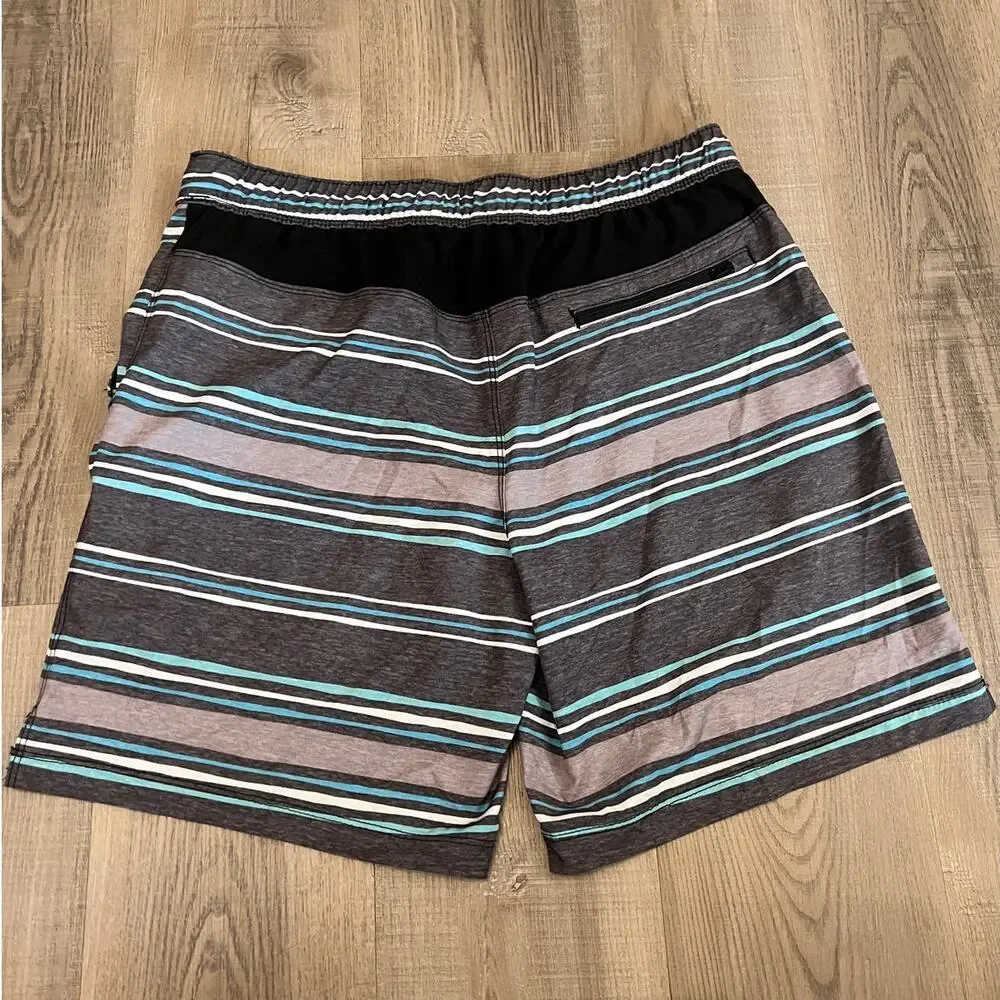 Speedo Men's Hydro Volley Swim Shorts - Striped Gray & Blue